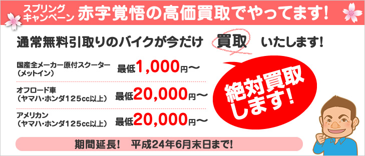 スプリングキャンペーン　赤字覚悟の高価買取でやってます。通常無料引取りのバイクが今だけ買取いたします！